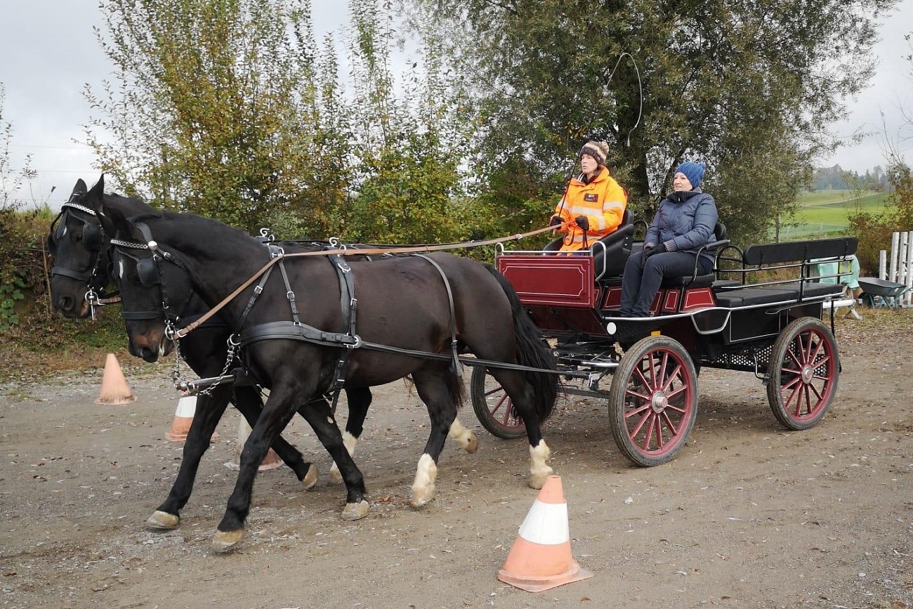 fahrteam_2020_quer_verkleinert