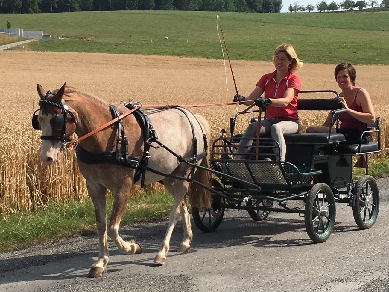 neo_fahrstd_20190720_quer_verkleinert
