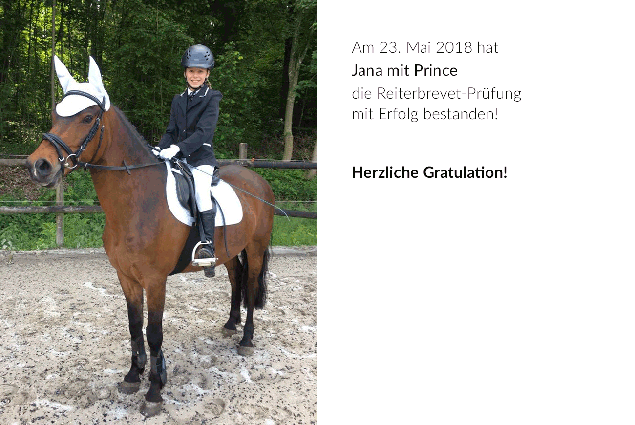 prince-brevet
