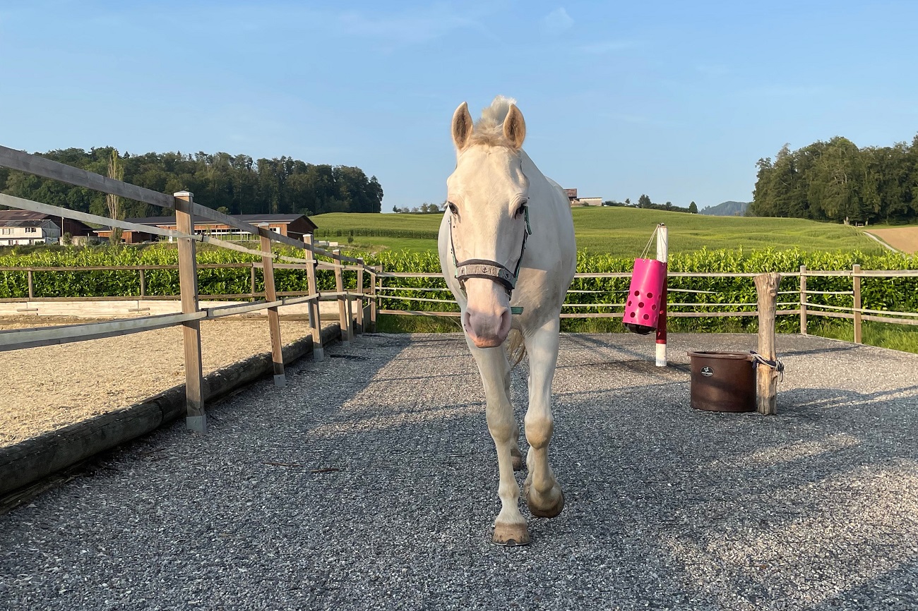 valmont_ankunft_quer_verkleinert