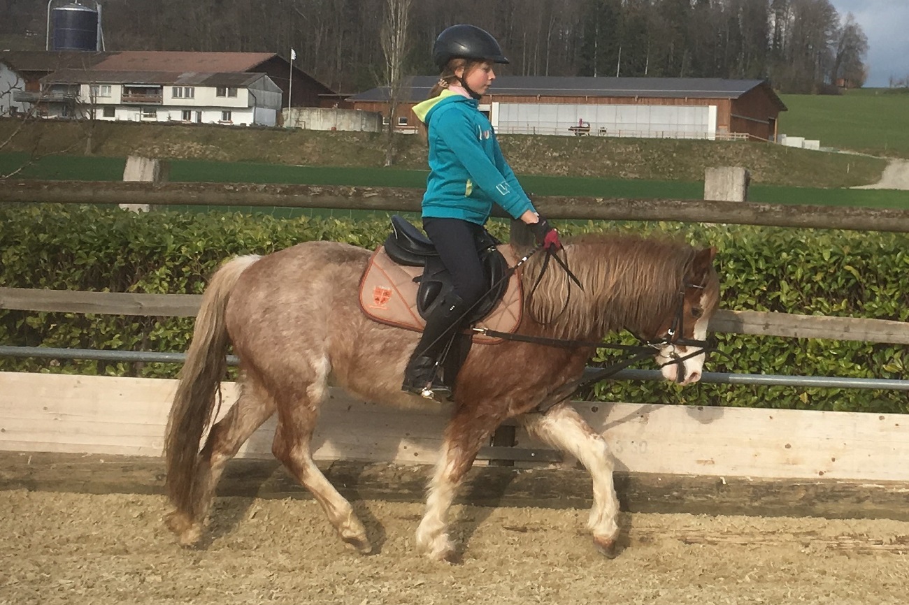 neo_20190302_verkleinert