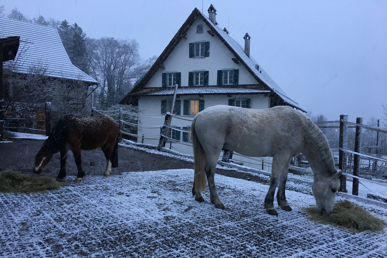 schnee_20210412_verkleinert