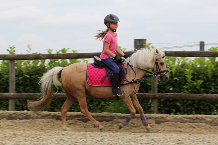 winnie_galopp